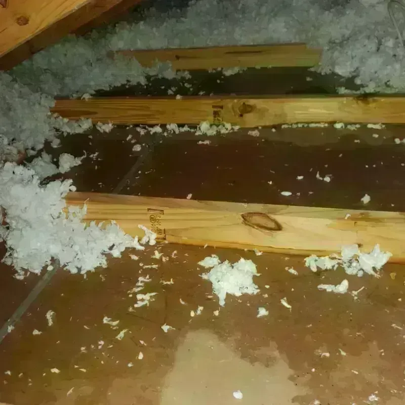 Attic Water Damage in Weed, CA